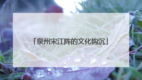 泉州宋江阵的文化钩沉