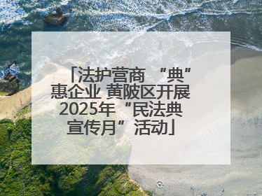 法护营商 “典”惠企业 黄陂区开展2025年“民法典宣传月”活动