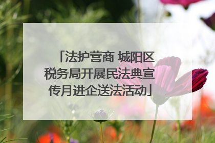法护营商 城阳区税务局开展民法典宣传月进企送法活动