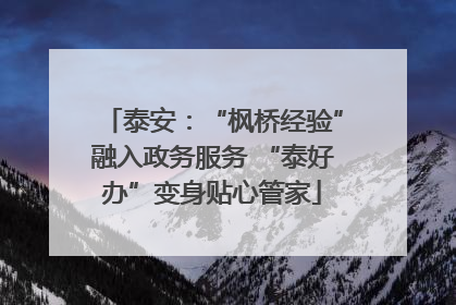 泰安：“枫桥经验”融入政务服务 “泰好办”变身贴心管家