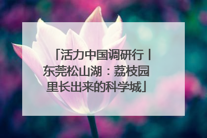 活力中国调研行丨东莞松山湖：荔枝园里长出来的科学城