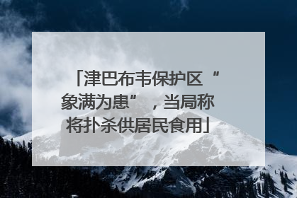 津巴布韦保护区“象满为患”，当局称将扑杀供居民食用