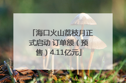海口火山荔枝月正式启动 订单额（预售）4.11亿元