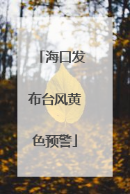 海口发布台风黄色预警