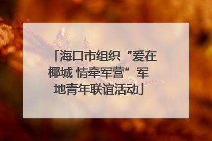 海口市组织“爱在椰城 情牵军营”军地青年联谊活动