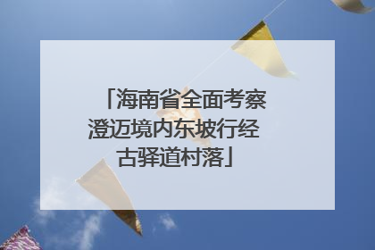 海南省全面考察澄迈境内东坡行经古驿道村落