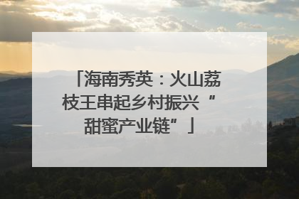 海南秀英：火山荔枝王串起乡村振兴“甜蜜产业链”
