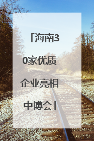 海南30家优质企业亮相中博会