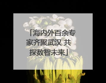 海内外百余专家齐聚武汉 共探数智未来