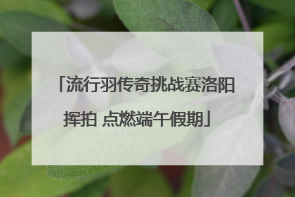 流行羽传奇挑战赛洛阳挥拍 点燃端午假期
