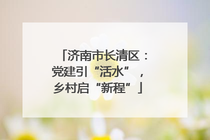 济南市长清区：党建引“活水”，乡村启“新程”