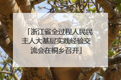 浙江省全过程人民民主人大基层实践经验交流会在桐乡召开