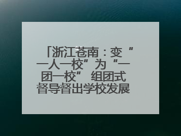 浙江苍南：变“一人一校”为“一团一校” 组团式督导督出学校发展加速度