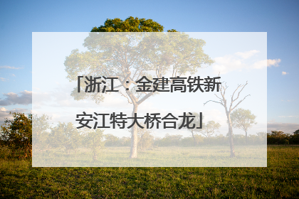 浙江：金建高铁新安江特大桥合龙