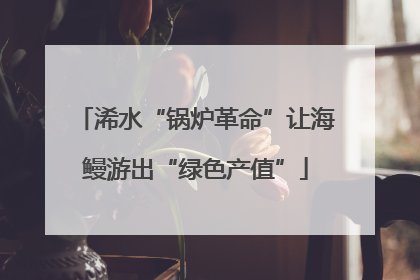 浠水“锅炉革命”让海鳗游出“绿色产值”