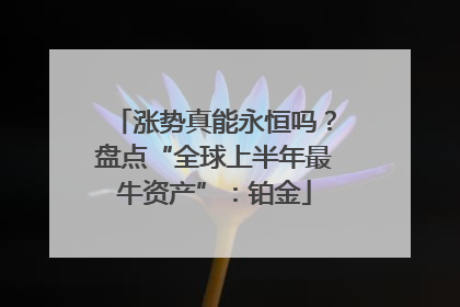涨势真能永恒吗？盘点“全球上半年最牛资产”：铂金