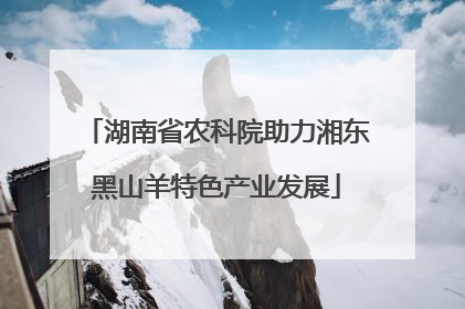 湖南省农科院助力湘东黑山羊特色产业发展