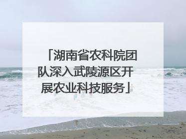 湖南省农科院团队深入武陵源区开展农业科技服务