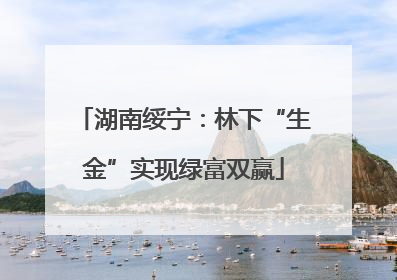 湖南绥宁：林下“生金”实现绿富双赢