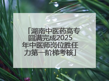 湖南中医药高专圆满完成2025年中医师岗位胜任力第一阶梯考核