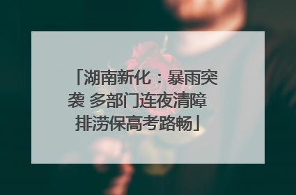 湖南新化：暴雨突袭 多部门连夜清障排涝保高考路畅