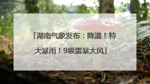 湖南气象发布：降温！特大暴雨！9级雷暴大风