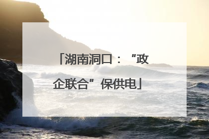 湖南洞口：“政企联合”保供电