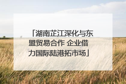 湖南芷江深化与东盟贸易合作 企业借力国际陆港拓市场