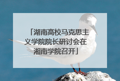 湖南高校马克思主义学院院长研讨会在湘南学院召开