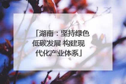 湖南：坚持绿色低碳发展 构建现代化产业体系