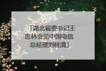 湖北省委书记王忠林会见中国电信总经理刘桂清