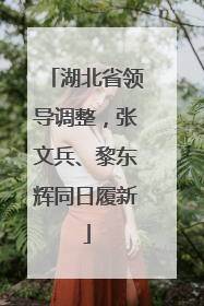 湖北省领导调整，张文兵、黎东辉同日履新