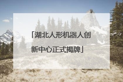 湖北人形机器人创新中心正式揭牌