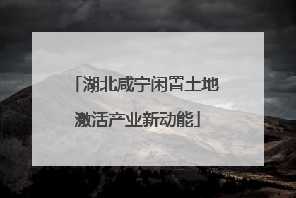 湖北咸宁闲置土地激活产业新动能