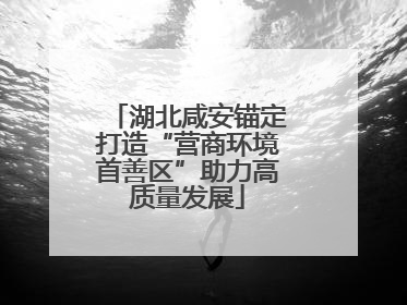 湖北咸安锚定打造“营商环境首善区”助力高质量发展