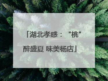 湖北孝感：“桃”醉盛夏 味美杨店