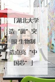 湖北大学造“菌”突围 生物制造点亮“中国芯”