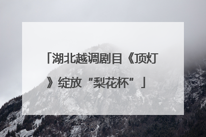 湖北越调剧目《顶灯》绽放“梨花杯”