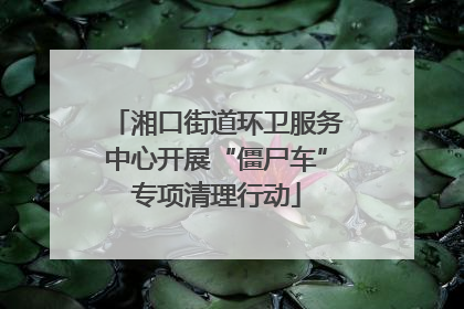 湘口街道环卫服务中心开展“僵尸车”专项清理行动