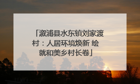 溆浦县水东镇刘家渡村：人居环境焕新 绘就和美乡村长卷
