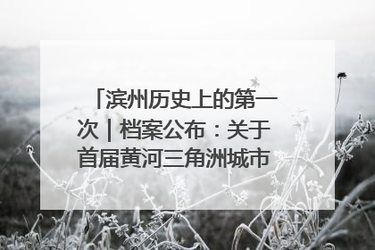 滨州历史上的第一次｜档案公布：关于首届黄河三角洲城市经济博览会暨发展论坛情况的总结报告