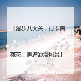漫步八大关，打卡蔷薇花，邂逅浪漫风景
