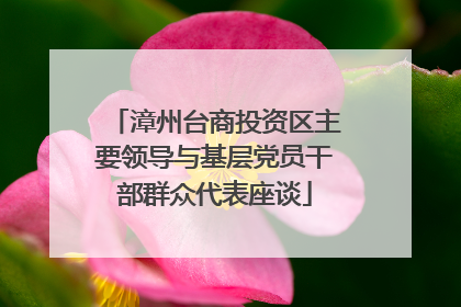 漳州台商投资区主要领导与基层党员干部群众代表座谈