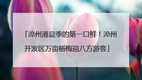 漳州港夏季的第一口鲜！漳州开发区万亩杨梅迎八方游客