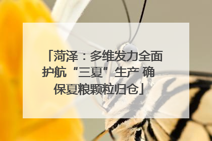 菏泽：多维发力全面护航“三夏”生产 确保夏粮颗粒归仓