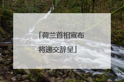荷兰首相宣布将递交辞呈