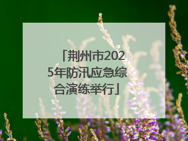 荆州市2025年防汛应急综合演练举行