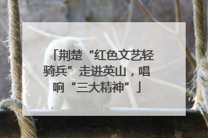 荆楚“红色文艺轻骑兵”走进英山，唱响“三大精神”