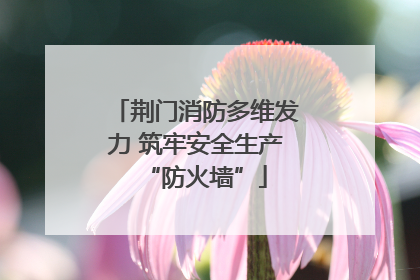 荆门消防多维发力 筑牢安全生产“防火墙”