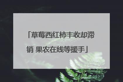 草莓西红柿丰收却滞销 果农在线等援手